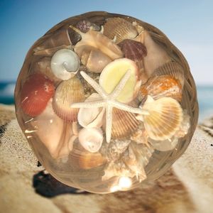 NEW WICKER BASKET OF NATURAL LARGE SALTWATER SEASHELLS STARFISH LEOPARDS SPIRALS